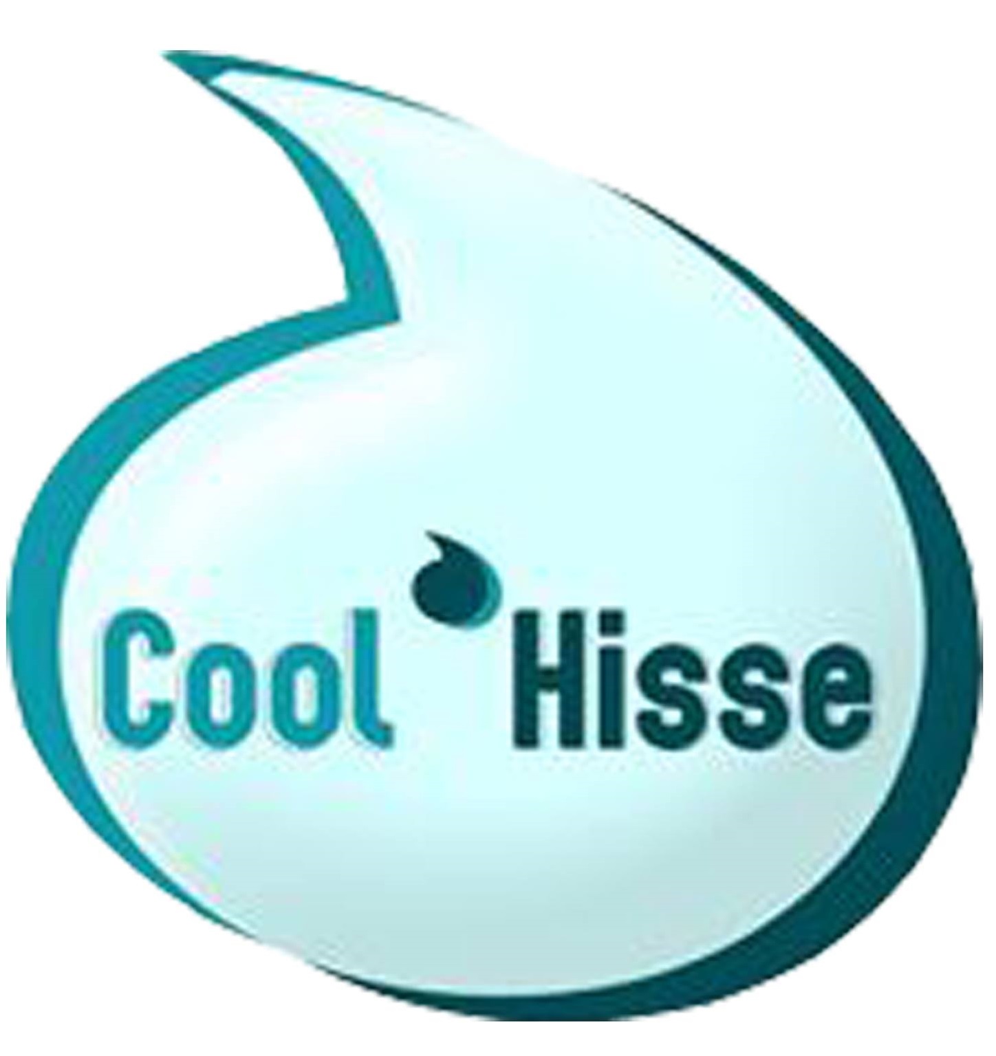 logo de l'association Cool’hisse Association