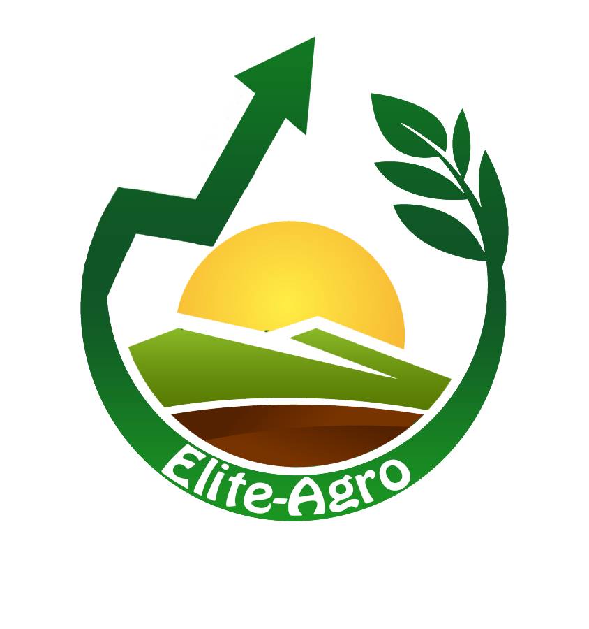 logo de l'association Association des Jeunes Ingénieurs Tunisiens d’Elite Agro