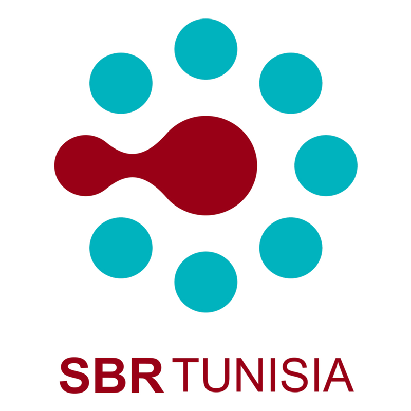 logo de l'association Smart Business Reporting Tunisia