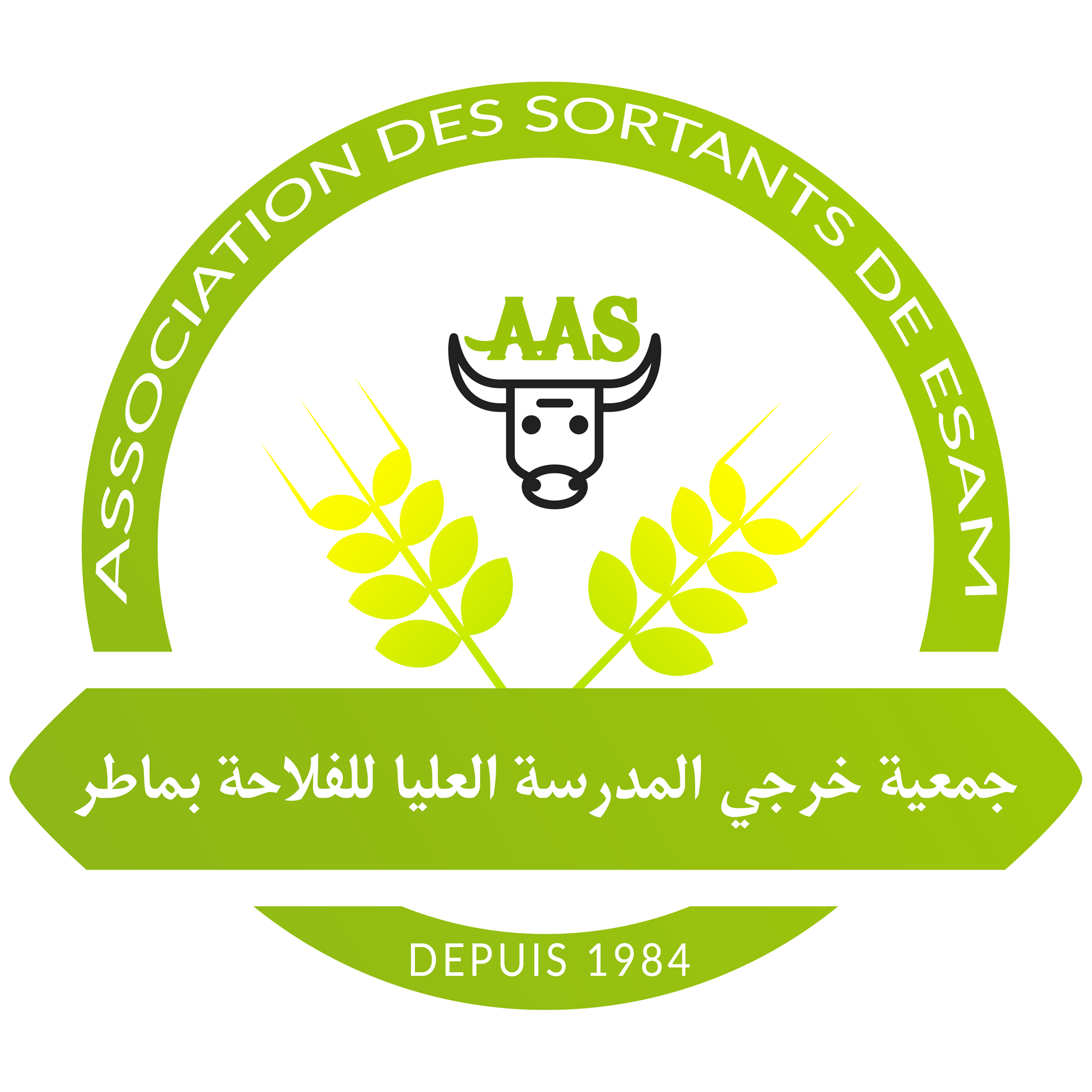 logo de l'association Association des Sortants de ESAM