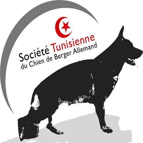 logo de l'association Socitété Tunisienne du Chien de Berger Allemand