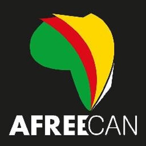 logo de l'association AFREECAN