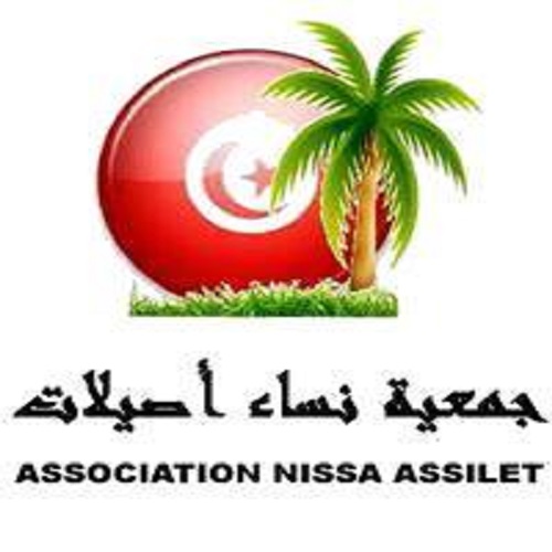 logo de l'association Association Nissa Acilet