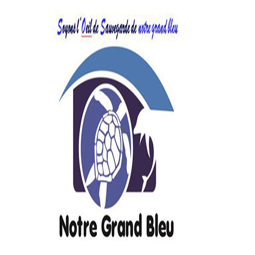 logo de l'association Association Notre Grand Bleu