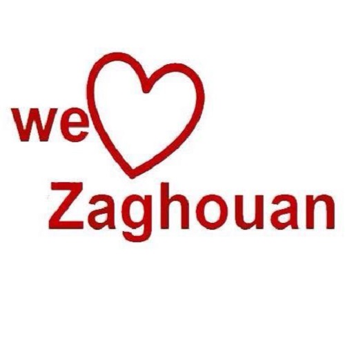 logo de l'association We Love Zaghouan