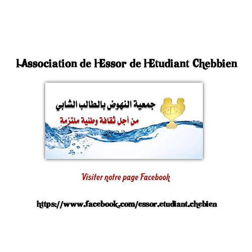 logo de l'association Association de l’Essor de l’Etudiant Chebbien