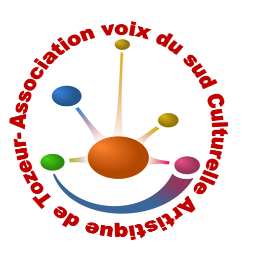 logo de l'association Association Voix du Sud Culturel